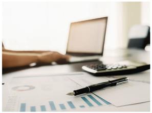 Yurtiçi Pazar Araştırması